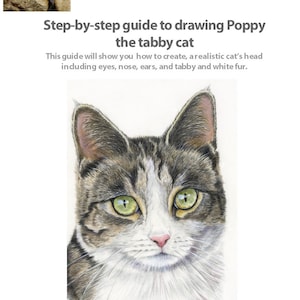 Step by Step Tutorial - Drawing a Tabby Cat in Coloured Pencils