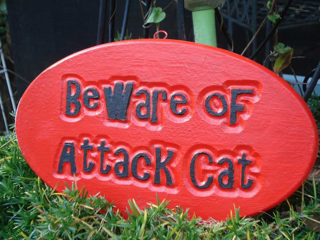Cat Plaque, Cat Sign, Beware of Attack Cat, Garden Plaque, Wall Plaque ...