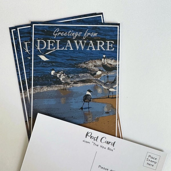 Delaware USA State Postcard