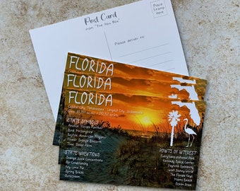 Florida USA State Postkarte