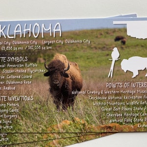 Oklahoma USA State Postcard
