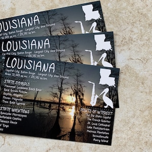 Cartolina dello stato della Louisiana, USA