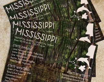 Mississippi USA State Postcard