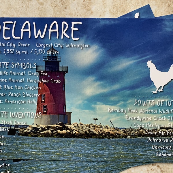 Delaware USA State Postcard