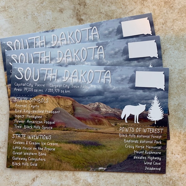 South Dakota USA State Postcard