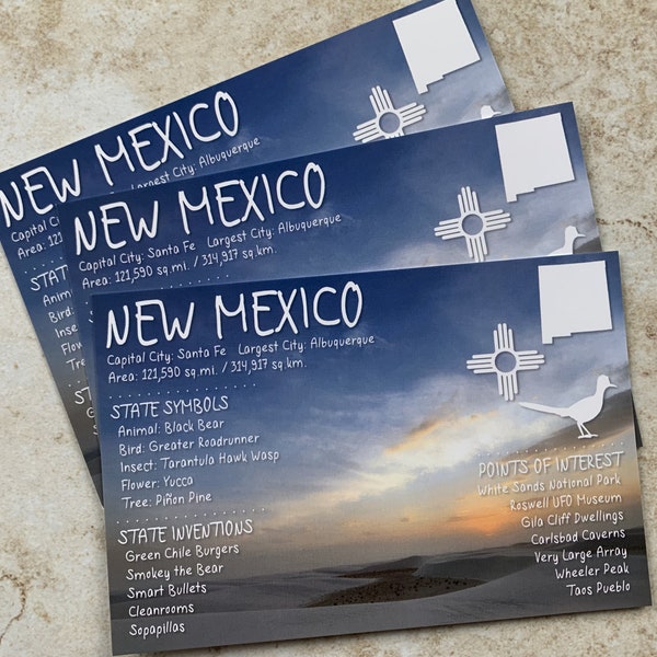 New Mexico USA State Postcard