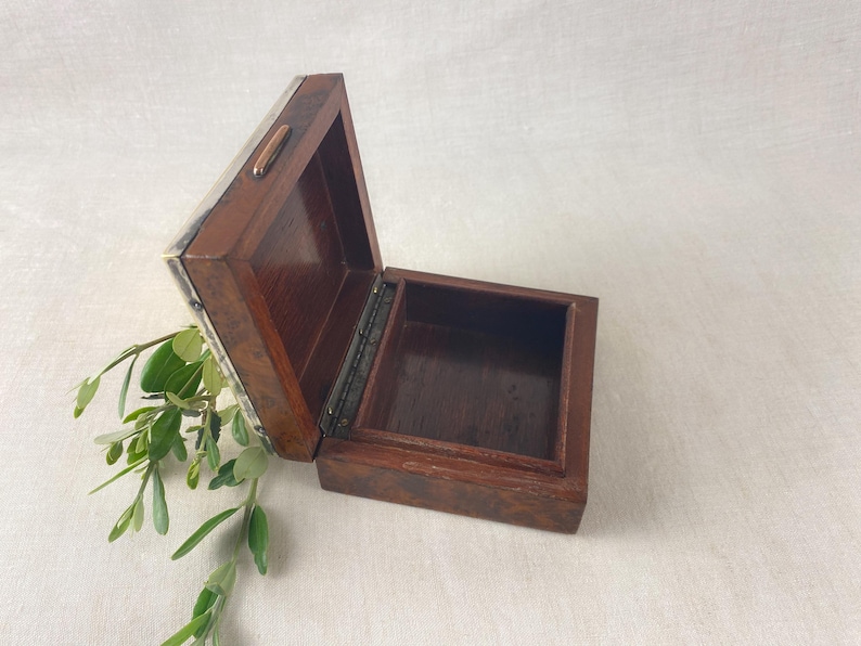 May include: An open, small wooden box with a dark brown finish. The box is rectangular with a hinged lid and a metal clasp. The interior is also brown. Green leaves and stems are visible near the box.