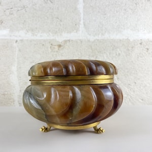 Large Vintage Italian Alabaster Shell Box I Honey Caramel Stone Vanity Case I Brass Claw Feet