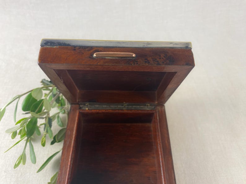 May include: Open wooden box with a hinged lid. The box is a dark brown color with a metal trim around the top edge. A small metal handle is on the front of the lid. Green leaves are visible in the background.