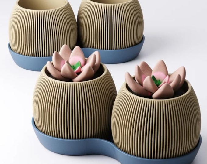 Duo Vase – Modern Double Flowerpot Vase | Minimalist Planters | Sustainable Home & Office Decoration for Plant Lovers