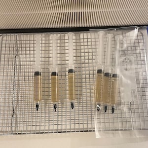 3x 10ML liquid culture syringe