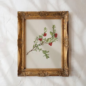Vintage Red Berry Flower Art - Botanical Art for Bedroom Decor, Antique Nature Print for Cottagecore, Kitchen, or Rustic Decor