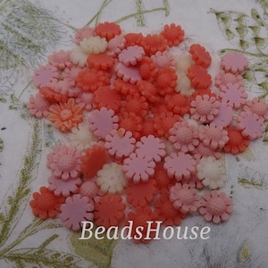 May include: Assortment of pink and orange flower-shaped resin embellishments. These decorative accents are perfect for adding a touch of whimsy to crafts, jewelry, and other projects.