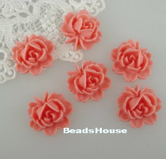 Pink X-Pression» garden rose – BLOOMNOOK