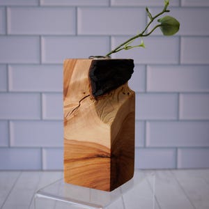 May include: A handcrafted wooden vase with a natural wood grain finish. The top edge features a dark, contrasting element. A small green plant with a single leaf is placed in the vase. The vase is displayed on a clear acrylic stand.