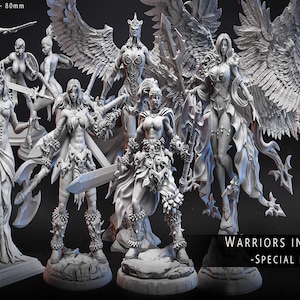 Puede incluir: Colección de figuras de guerreras en miniatura, predominantemente en tonos grises. Las figuras representan guerreras con espadas, alas y armaduras. El texto "WARRIORS IN WAR - SPECIAL 1" es visible. Las miniaturas miden aproximadamente 80 mm de altura.
