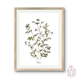 Thymian Botanische Wandkunst | Salbei grüne Wandkunst, Kräuter, Pflanzenliebhaber Geschenk, Cottagecore Dekor, Botanische Drucke, Essen Wandkunst, Herunterladbare Kunst