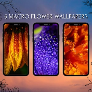 5 fonds d'écran de fleurs macro esthétiques – Arrière-plans 4K pour téléphones portables | Fonds d'écran nature, botanique et floral pour téléphone
