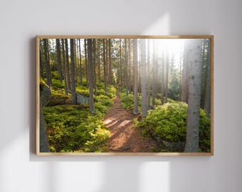 Forest Path Printable Wall Art – Digital Nature Landscape, Scandinavian Style Forest Photography, Woodland Poster