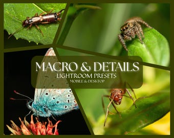 Macro Photography Lightroom Presets, Nature Detail Editing (Digital Download)