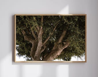 Tree Photography Print: Green Leaves Botanical Art (Digital Download)