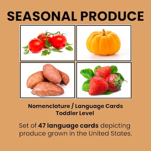 Fruits et légumes de saison Aliments Cartes linguistiques Montessori Tout-petit