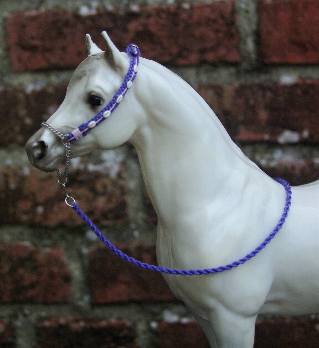 Licol D'Exposition Arabe – Taille Yearling/2 Ans – Modèle Unique – Rumii's Arabian Treasures