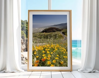 Yellow poppies, Tenerife, Spain, vacation, fun, nature, printable, photo, adventure, travel, Water Park, Loro Park, Canary Islands, sea
