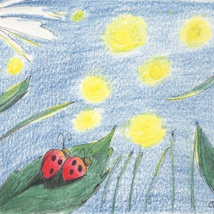 Carte d’anniversaire de coccinelle, coccinelles sur une feuille de regarder les lucioles dessin carte, faite sur du papier recyclé, est livré avec enveloppe et sceau