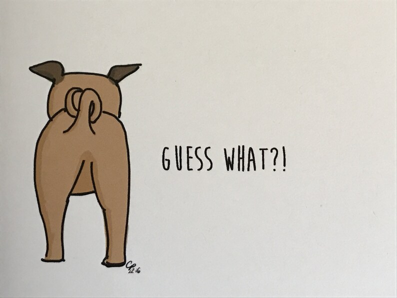 Pug Birthday Card, Pug Butt Birthday Card, funny dog card, inappropriate card, made on recycled paper, comes with envelope and seal image 1