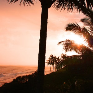 May include: Silhouette of palm trees against a vibrant orange and pink sunset over a calm ocean. The sun is setting behind the trees, casting a warm glow on the scene.