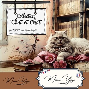 CHAT et CHAT, de la créatrice "OMA". Scrapbooking, Junk journal, Carterie, Journal indésirable. Téléchargement numérique de 21 pages