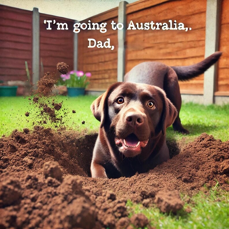 Funny Chocolate Labrador Art Print: Australia Dig (digital Download) - Etsy