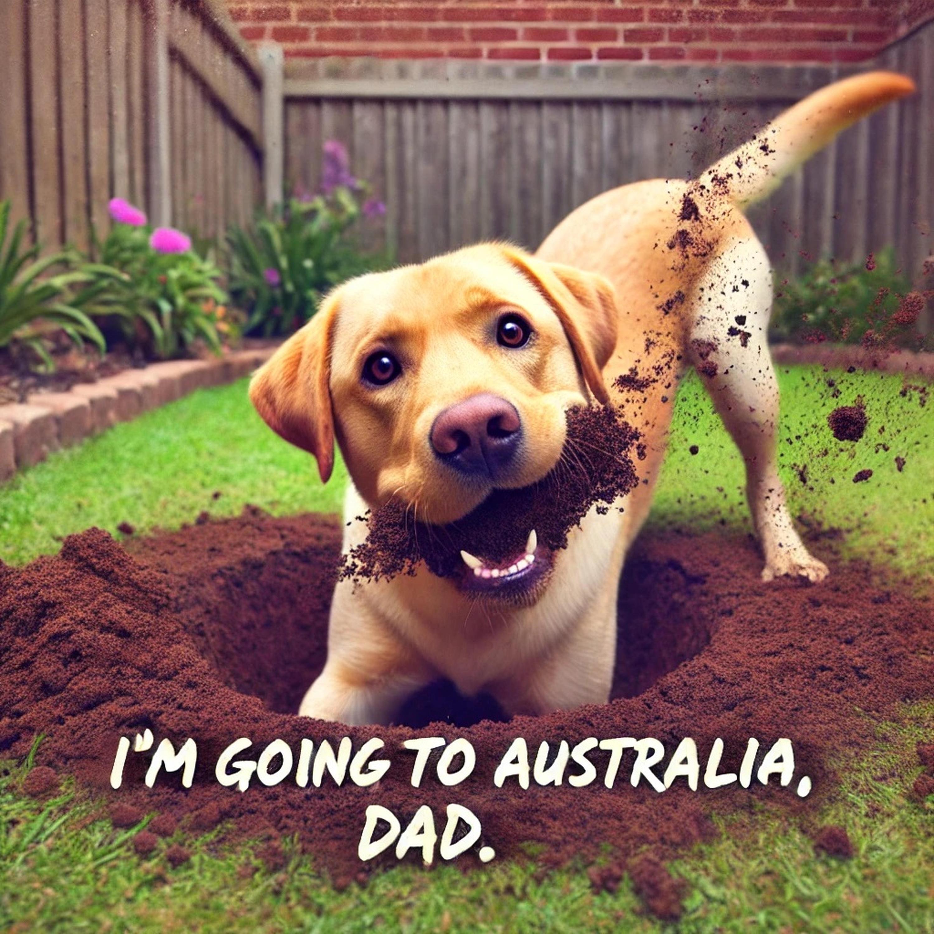 Funny Golden Labrador Digging Art Print: Dog Lover Gift (digital ...