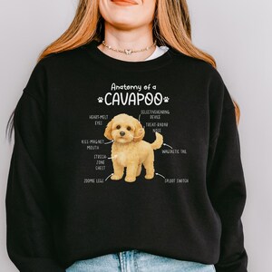 May include: Black sweatshirt with the text "Anatomy of a Cavapoo" and a cartoon illustration of a Cavapoo dog. The dog is light brown with a fluffy coat. The sweatshirt is worn by a person.