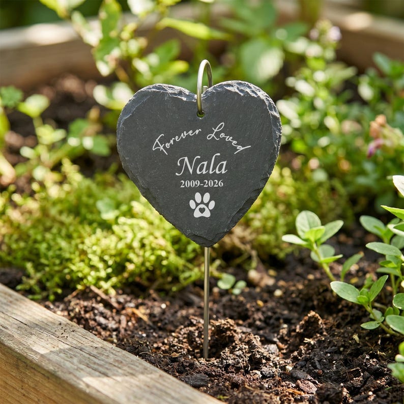 May include: A heart-shaped slate memorial garden stake with the words "Forever Loved" and the name "Nala" engraved in white. The stake also includes the years 2009-2026 and a paw print. The stake is placed in a garden bed.