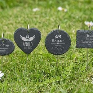 May include: Four dark gray slate pet memorial markers in various shapes, including oval, heart, circle, and rectangle, with names and dates engraved. The markers are placed in green grass with white daisies.