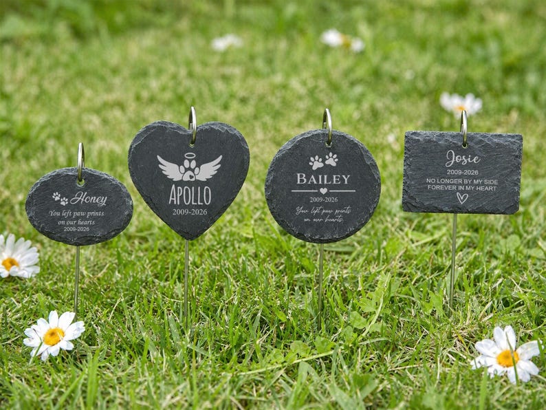 May include: Four dark gray slate pet memorial markers in various shapes, including oval, heart, circle, and rectangle, with names and dates engraved. The markers are placed in green grass with white daisies.