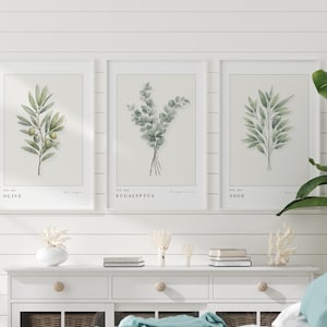 May include: Three framed botanical wall art prints featuring watercolor illustrations of an olive branch, eucalyptus sprigs, and sage leaves. Each print includes the plant name in black text at the bottom, set against a light beige background.