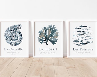 Coastal Botanical  Watercolor Print Set, Seashell Coral Fish Art (Digital Download)