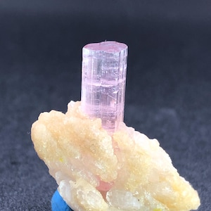 Puede incluir: Un cristal de turmalina rosa se alza sobre un grupo de minerales beige, montado sobre una pequeña base azul. La turmalina es un cristal translúcido y columnar. Los minerales beige tienen una apariencia rugosa y texturizada.