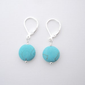 Best Friend Gift, Birthday Gift For Wife, Shower Gift For Sister, Turquoise Earrings, Lightweight Jewelry, Animal Rescue, Turquoise