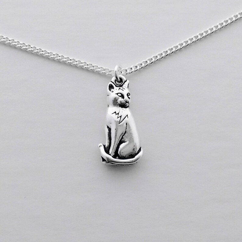 May include: A silver chain necklace with a small, silver cat pendant. The cat is sitting with its tail curled around its legs.