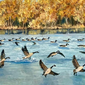 Druckbare Karte Gänse, die im Herbst auf einem See landen