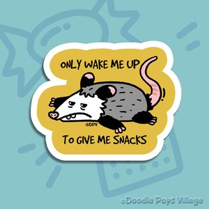 Autocollant drôle d'opossum, autocollants pour ordinateur portable, autocollants pour verres, autocollants dessin animé opossum, autocollants cadeaux, autocollants meme