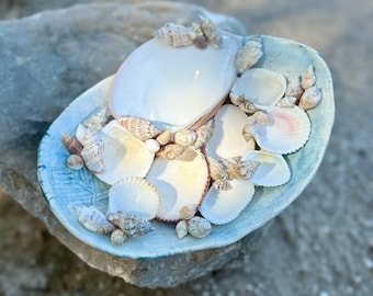 May include: A collection of seashells and small conch shells arranged in a light blue, oval-shaped dish. The shells are primarily white and beige, with some showing pink and brown hues. The dish rests on a gray rock, suggesting a coastal theme.
