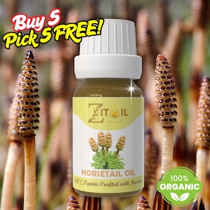 Horsetail Oil Moroccan | 100% Organic, Pure & Natural for Hair and Skin | Vegan Beauty Oil of Morocco  | 1oz (30ml) | زيت ذيل الحصان