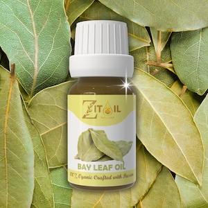 Moroccan Bay Leaf Oil | Natural Cosmetic Botanical Plant-based Laurel Oil for Hair & Skin (1oz/30ml)