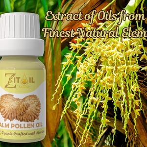 Moroccan Palm Pollen Oil | Natural Cosmetic Botanical Plant-based Oil for Hair & Skin (1oz/30ml) image 2
