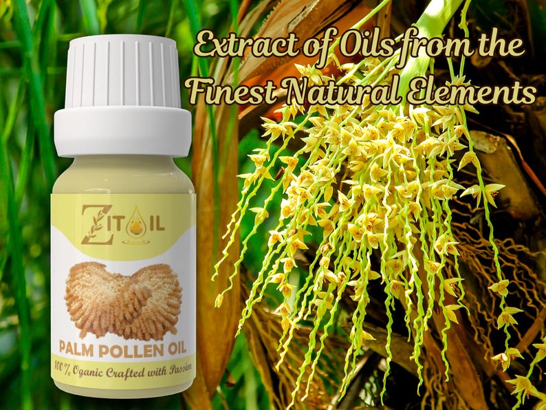 Moroccan Palm Pollen Oil | Natural Cosmetic Botanical Plant-based Oil for Hair & Skin (1oz/30ml) image 2